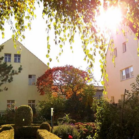 Garten-Obst-Gemüse-18-Hotel-Moritz.jpg